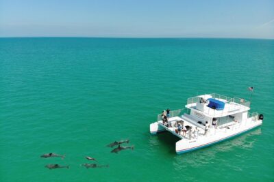 Key West Dolphin and Snorkel Experience - From 201 William St to the Open Water: What to Expect Right Away
