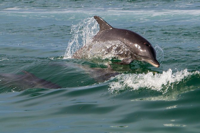Key West Dolphin and Snorkel Experience - The Key West Sunset Finish: Turning the Last Hour Into a Win