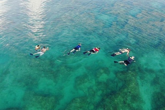 Key West Dolphin and Snorkel Experience - Group Size, Seating, and Weather: The Stuff That Changes the Day