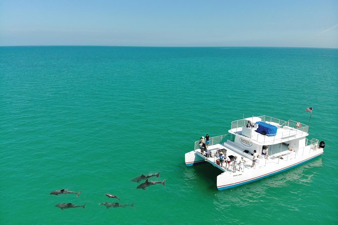 Key West Dolphin and Snorkel Experience - From 201 William St to the Open Water: What to Expect Right Away