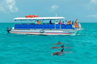 Key West Dolphin Watch and Snorkel Tour - Eco Adventure - The Dolphin Watching Part: How the Captain Finds Bottlenose Dolphins