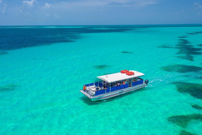 Key West Dolphin Watch and Snorkel Tour - Eco Adventure - Onboard Comfort, Drinks, and the Small Rules That Affect Your Day