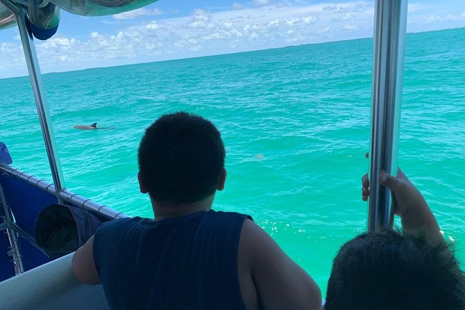 Key West Dolphin Watch and Snorkel Tour - Eco Adventure - Who Should Book This Tour (and Who Might Be Happier Elsewhere)