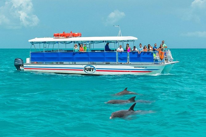 Key West Dolphin Watch and Snorkel Tour - Eco Adventure - The Dolphin Watching Part: How the Captain Finds Bottlenose Dolphins