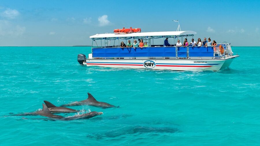 Key West: Dolphin Watching and Snorkeling Eco Cruise Tour - Key Things You Should Know Before You Go