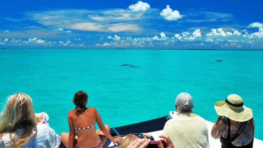 Key West: Dolphin Watching and Snorkeling Eco Cruise Tour - Why This Dolphin and Snorkel Combo Fits Key West Time