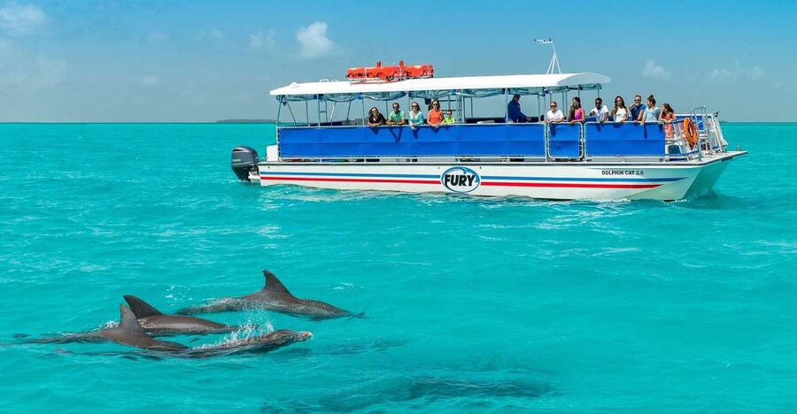Key West: Dolphin Watching and Snorkeling Eco Cruise Tour - Snorkeling in the Florida Keys Backcountry (What You May See)