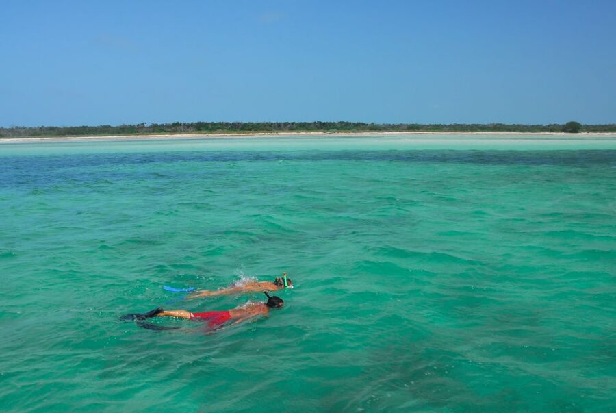 Key West: Dolphin Watching and Snorkeling Eco Cruise Tour - Onboard Comfort: Shade, Drinks, and Crew Energy