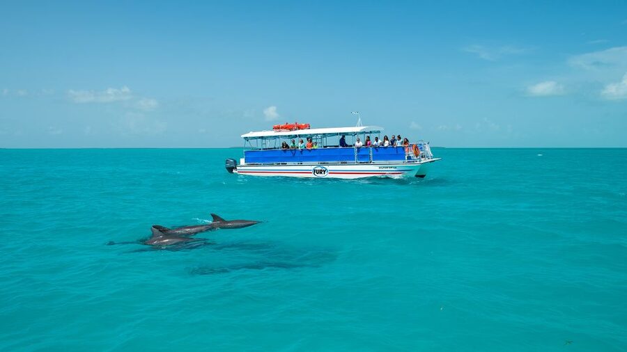 Key West: Dolphin Watching and Snorkeling Eco Cruise Tour - Timing for Sunset: Late Afternoon Is the Best Bet