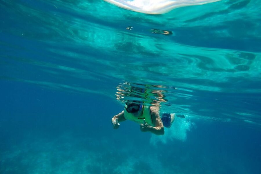Key West: Dolphin Watching and Snorkeling Sunset Cruise - Should you book this tour or not?