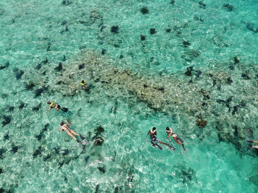 Key West: Dolphin Watching and Snorkeling Sunset Cruise - How the 3-hour Sunset One cruise is paced