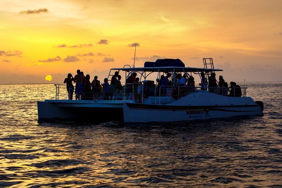 Key West: Dolphin Watching and Snorkeling Sunset Cruise - Snorkeling at Cottrell Key: gear, fish, turtles, and jellyfish reality