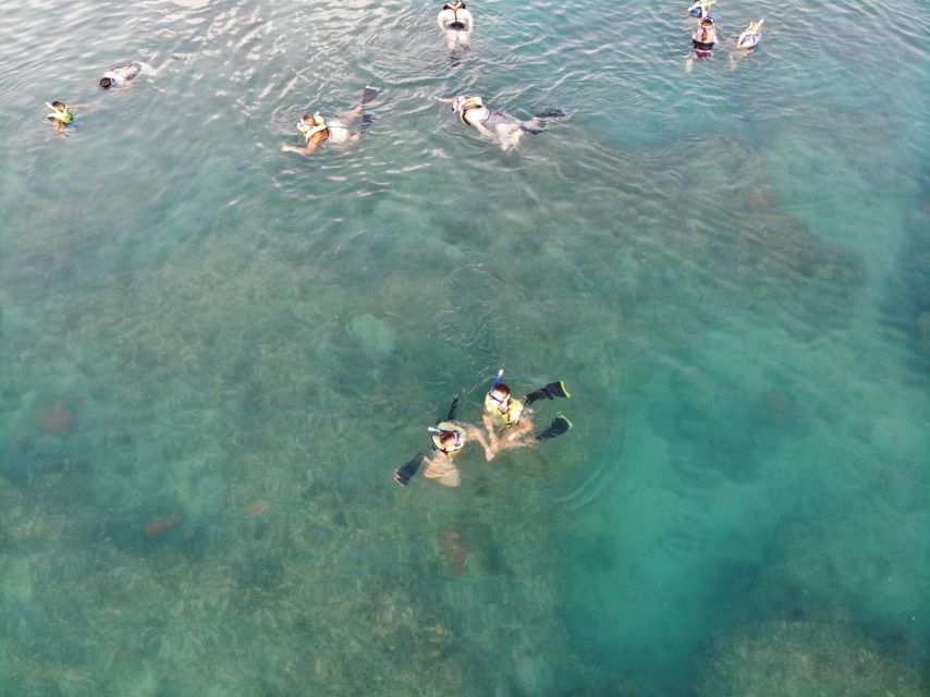 Key West: Dolphin Watching and Snorkeling Sunset Cruise - Safety, crew vibe, and what “easy” looks like on this boat