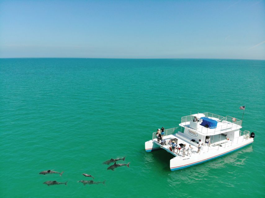 Key West: Dolphin Watching and Snorkeling Sunset Cruise - Dolphin watching in the wildlife refuge: what you’re really trying to see