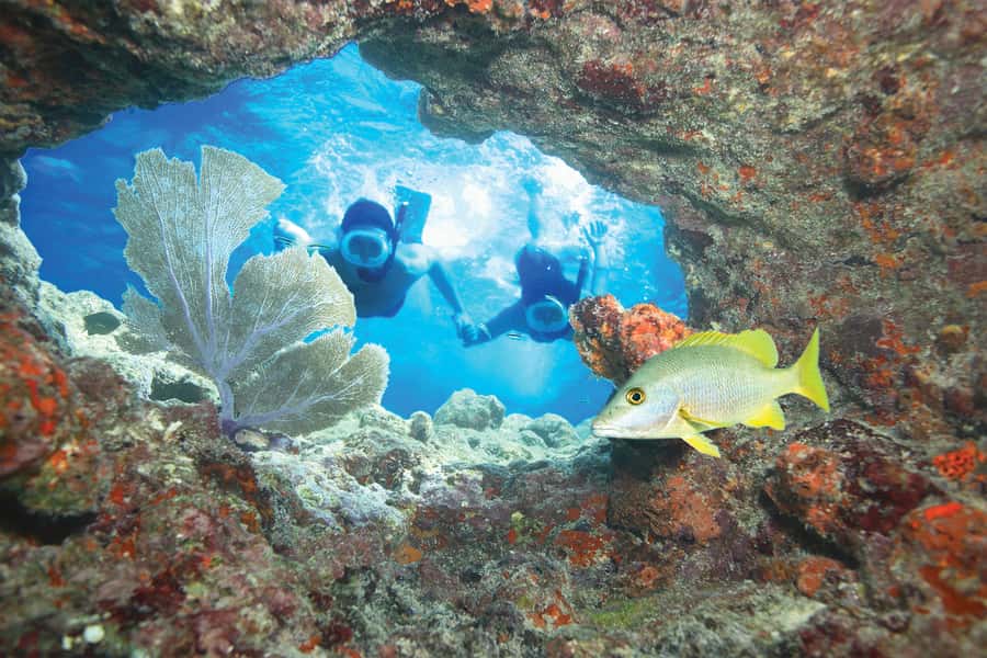 Key West Double Dip: 2-Stop Reef Snorkeling Trip - Key highlights you’ll actually feel
