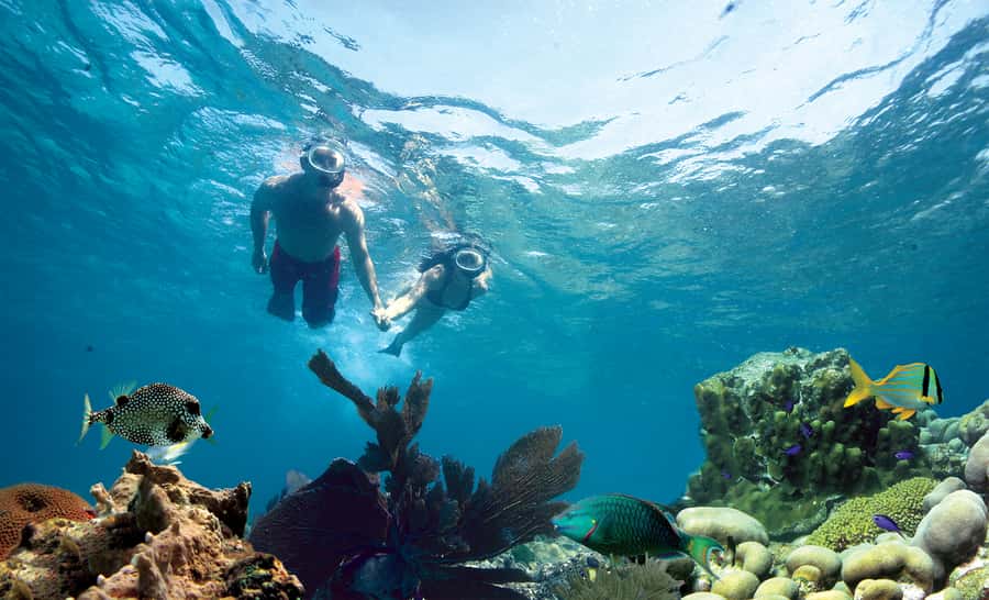 Key West Double Dip: 2-Stop Reef Snorkeling Trip - Why this Double Dip format works in Key West