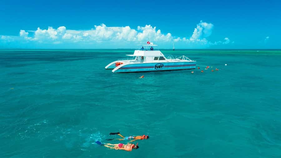 Key West Double Dip: 2-Stop Reef Snorkeling Trip - Stop one: your first reef visit and the fish-finding advantage