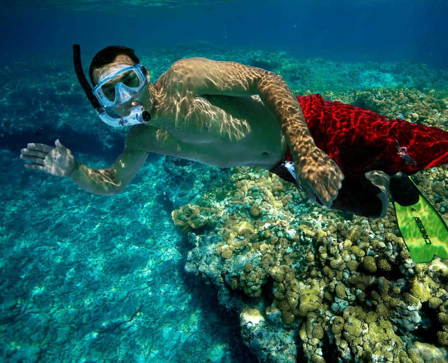 Key West Double Dip: 2-Stop Reef Snorkeling Trip - Onboard guidance: how the crew keeps it fun and safe