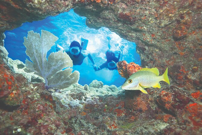 Key West Double-Dip Snorkel Tour-Two Stops, Twice the Fun! - How the Captain Chooses the Reef Spots: Sand Key and Friends