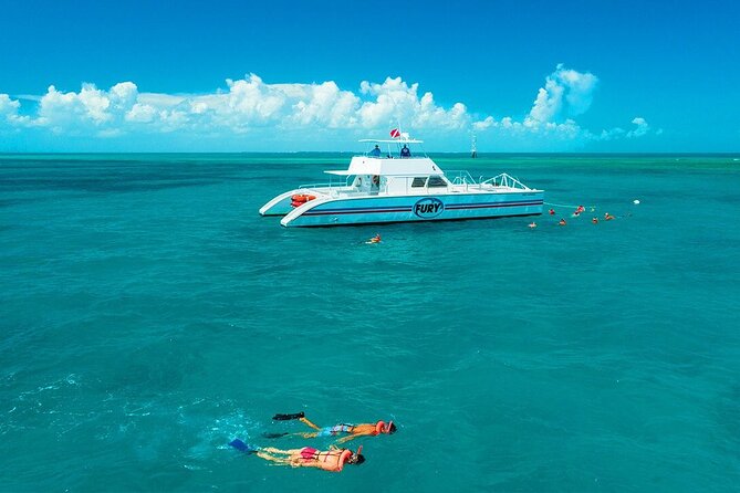 Key West Double-Dip Snorkel Tour-Two Stops, Twice the Fun! - From Check-In to Reef: The Real Flow of the Trip