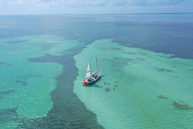 Key West Full-Day Ocean Adventure: Kayak, Snorkel, Sail - Mangrove kayaking: slow pace, close-up nature time