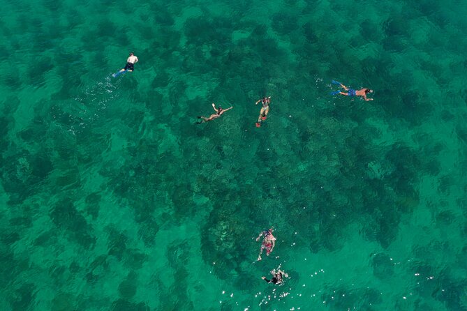Key West Full-Day Ocean Adventure: Kayak, Snorkel, Sail - Getting on board: Opal Key Resort, 255 Front St, and timing that actually works