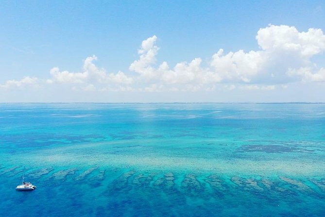 Key West Reef Morning Snorkeling with Breakfast and Mimosas - Breakfast first: simple fuel, and what to expect from the spread