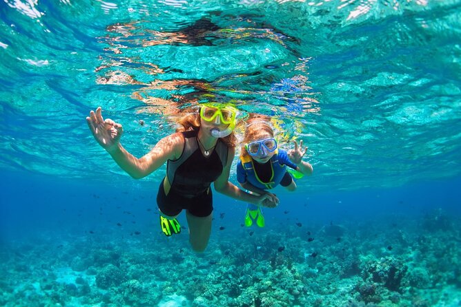 Key West Reef Morning Snorkeling with Breakfast and Mimosas - Snorkeling instruction and gear: good for beginners, check your fit