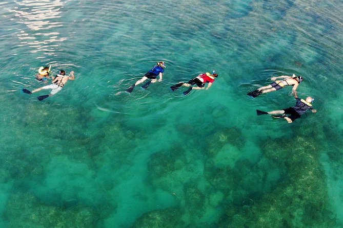Key West Reef Morning Snorkeling with Breakfast and Mimosas - Price and value: why $35 can feel like a steal