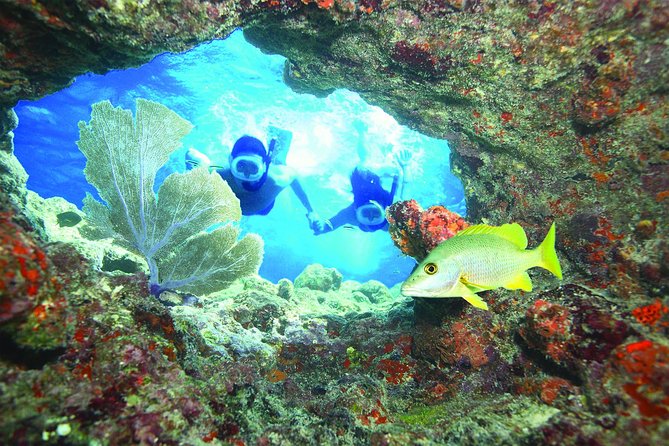 Key West Reef Snorkel – Morning Mimosas or Afternoon Margaritas - Key points you’ll care about