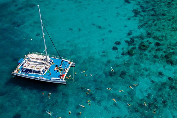 Key West Reef Snorkel – Morning Mimosas or Afternoon Margaritas - Where the trip starts: Opal Key Marina on Front Street
