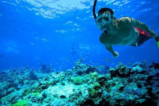 Key West Reef Snorkel – Morning Mimosas or Afternoon Margaritas - Morning mimosas vs afternoon margaritas: the drink timing is smart