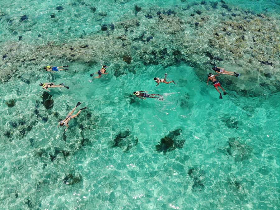 Key West: Reef Snorkel Morning Tour with Breakfast & Mimosas - Return to Port With Draft Beer, Music, and Coastal Views