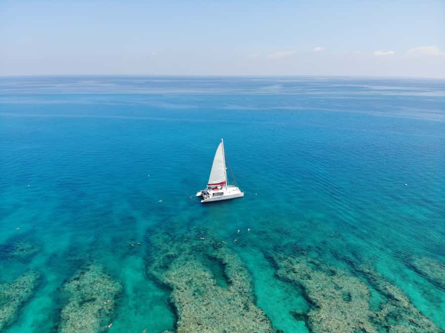 Key West: Reef Snorkel Morning Tour with Breakfast & Mimosas - Should You Book This Key West Reef Snorkel Morning Tour?