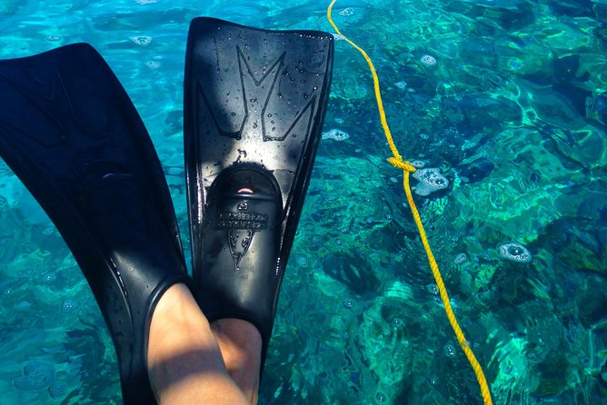 Key West Reef Snorkel & Sail Adventure - Sailing and snorkeling Key West’s living coral reef