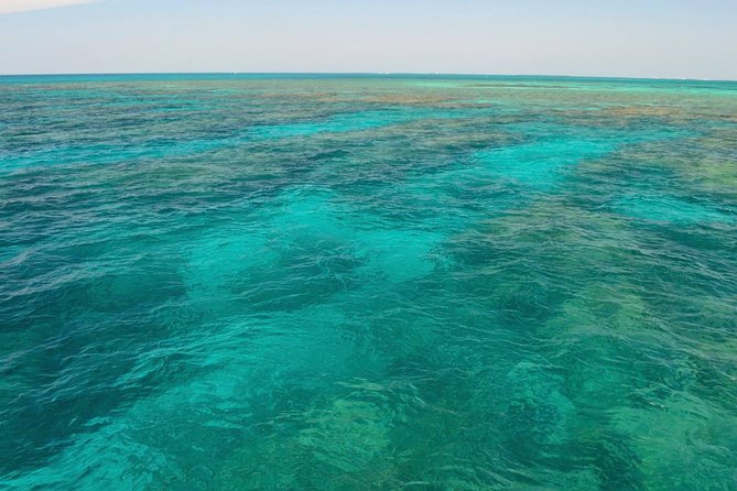 Key West Reef Snorkel & Sail Adventure - Gear check: sanitized mask, fins, and a flotation vest