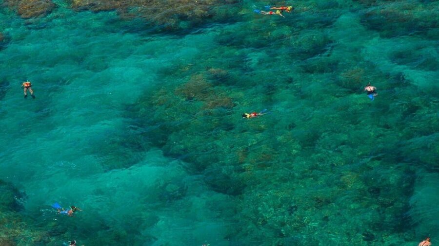 Key West: Reef Snorkeling with Drinks and Sunset Option - Boarding Fury at Opal Key Marina (and Parking Reality)