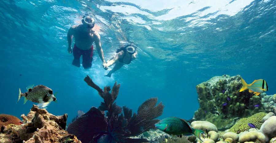 Key West: Reef Snorkeling with Drinks and Sunset Option - Sailing Toward the Reef: Scenic Views Plus Safety Setup Time
