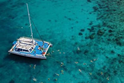 Key West: Reef Snorkeling with Drinks and Sunset Option - Choosing your time slot: mimosas, margaritas, or rum punch at sunset