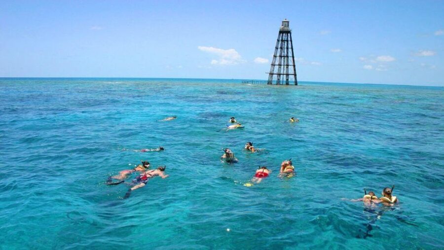 Key West: Reef Snorkeling with Drinks and Sunset Option - Snorkeling the Living Coral Reef: What You’ll See and How to See It