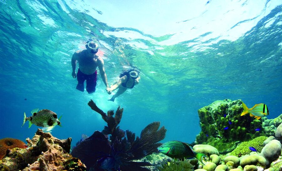 Key West: Reef Snorkeling with Drinks and Sunset Option - Comfort, Crowds, and the Real-Life Stuff: Jellyfish, Chop, and Boundaries