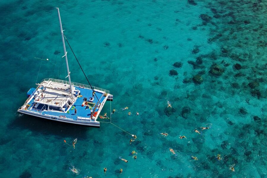 Key West: Reef Snorkeling with Drinks and Sunset Option - Choosing your time slot: mimosas, margaritas, or rum punch at sunset