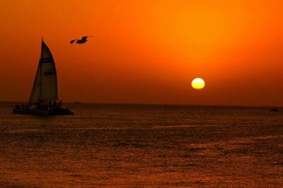 Key West Rum and Reggae: Reef Snorkel Adventure and Sunset Sail - North America’s Only Living Coral Reef: What You’re Actually Snorkeling