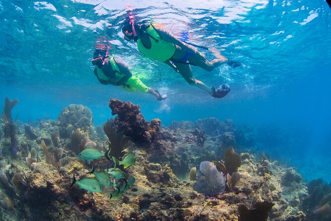 Key West Rum and Reggae: Reef Snorkel Adventure and Sunset Sail - What’s Included, What Isn’t, and What to Bring