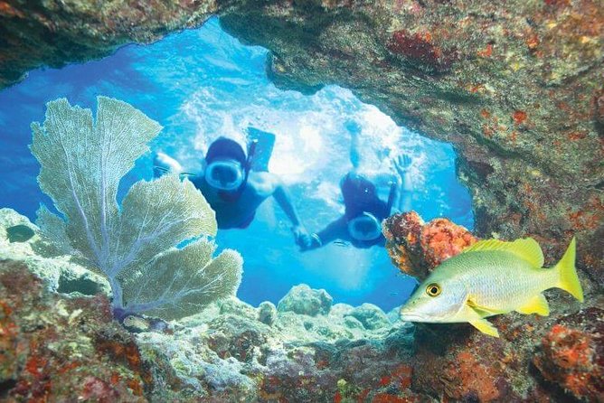 Key West Rum and Reggae: Reef Snorkel Adventure and Sunset Sail - Who Should Book This Snorkel and Sunset Sail (and Who Might Think Twice)