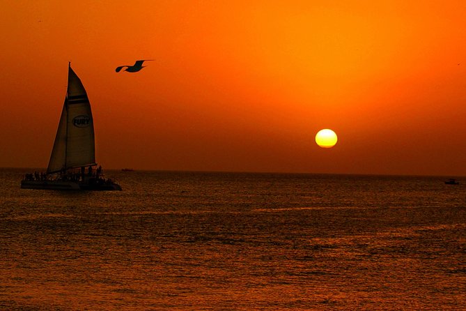 Key West Rum and Reggae: Reef Snorkel Adventure and Sunset Sail - North America’s Only Living Coral Reef: What You’re Actually Snorkeling
