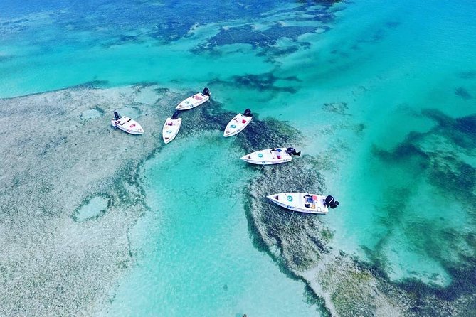 Key West Safari Eco Sandbar Tour Adventure with Snorkeling - Key Things I’d Put on Your Radar