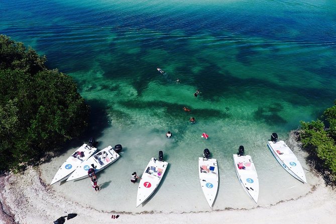 Key West Safari Eco Sandbar Tour Adventure with Snorkeling - Your Captain’s Seat: Mini Speedboat Rules and How the Day Starts