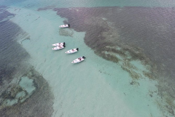 Key West Safari Eco Sandbar Tour Adventure with Snorkeling - Mud Key Sandbar Time: Snorkeling, Short Hikes, and Wildlife Watching
