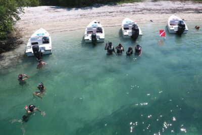 Key West Safari Eco Sandbar Tour Adventure with Snorkeling - The 2.5-Hour Flow From Stock Island to the Sanctuary